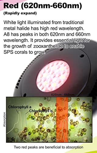 JAJALE Аквариум Корален Гребен Светлина 90W A8 Програмабилни LED Затемнет Целосен Спектар За Морски Риби Резервоари Риба Резервоарот