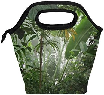Торба за Ручек за Пикник Тропска Џунгла Пејзажи Од Дождовни Шуми Кутија За Ручек Изолирана Поладна Отпорна На Вода За Возрасни,