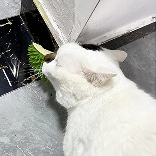 Бемодст Дуриан триење чешел мачка агол мелење заби бавно хранење масажа за отстранување на пловечка коса коча билка играчки